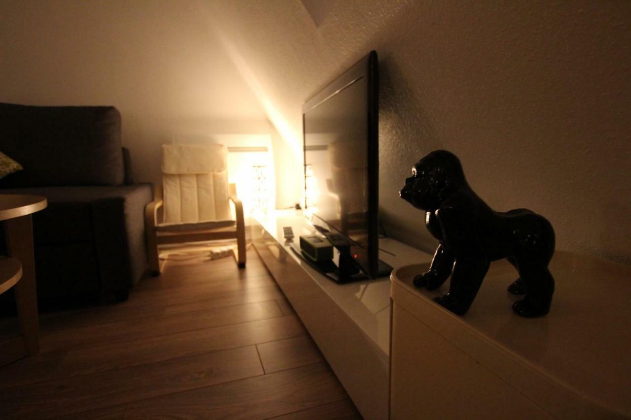 Colmar City Center - Appartement Belle-Vue 4 Etoiles Exteriér fotografie