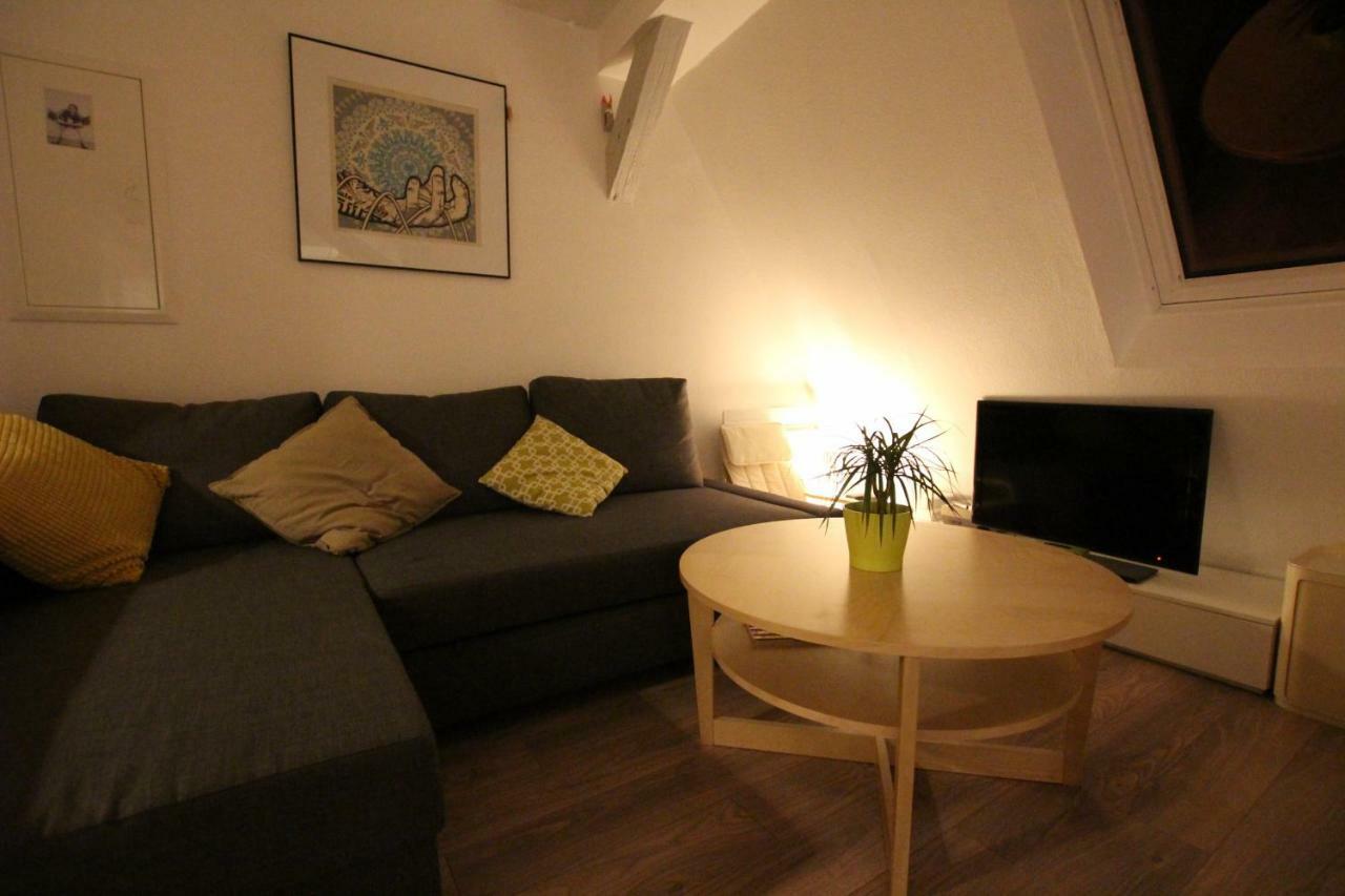 Colmar City Center - Appartement Belle-Vue 4 Etoiles Exteriér fotografie